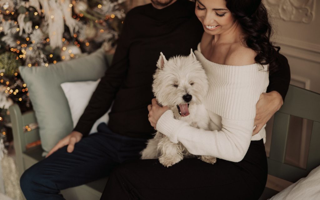 New westie owners